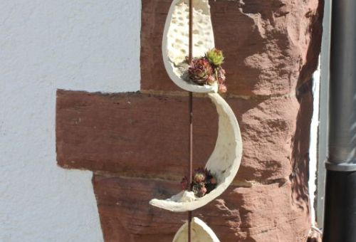Sukulenten Stele